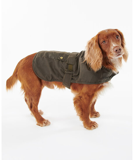 2 in 1 Dogcoat