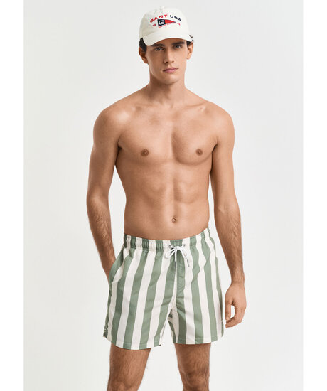 Block stripe swim short