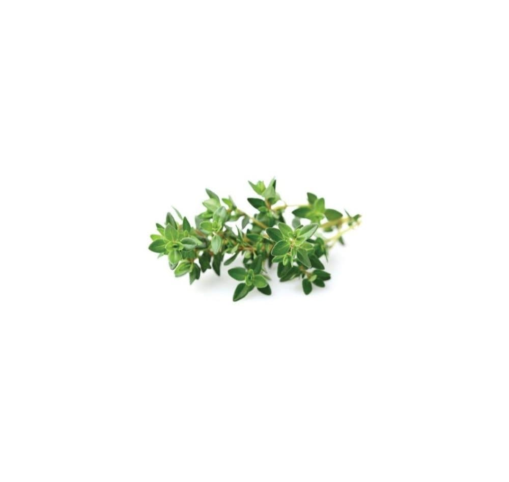 Click & Grow Smart Garden refill Timjan 3st