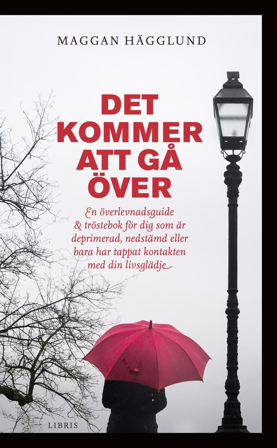 Det kommer att gå över 9789173875493