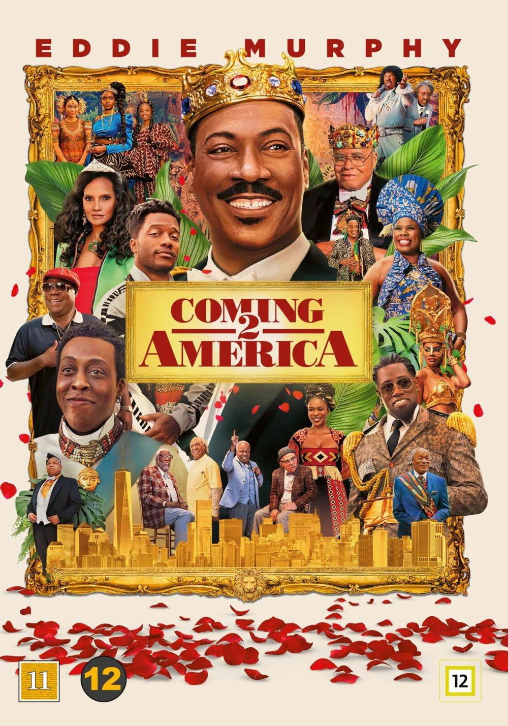 En prins i New York 2 (DVD)