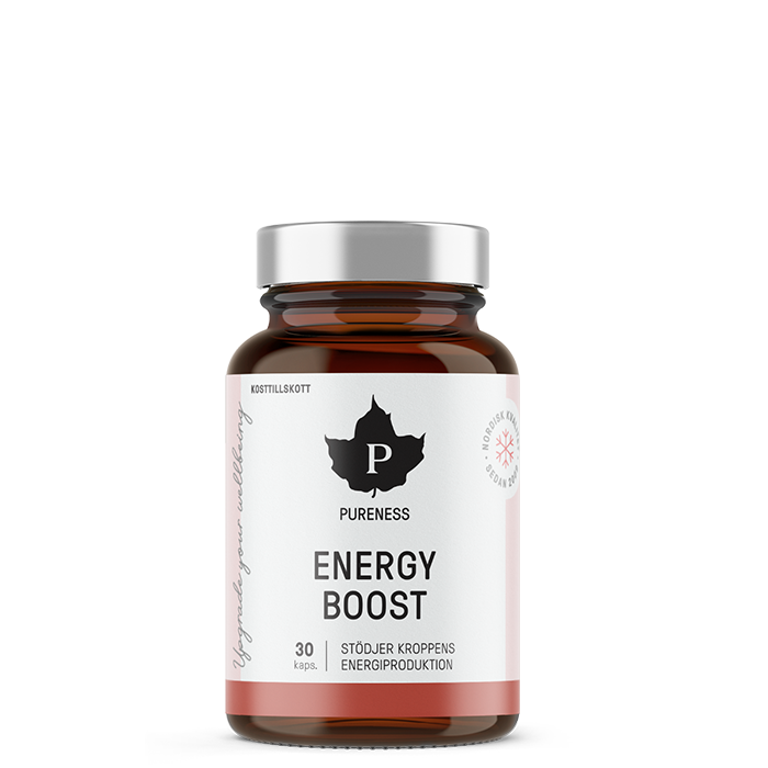 Energy Boost Multivitamin 30 kapslar