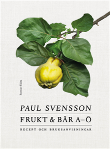 Frukt och bär A