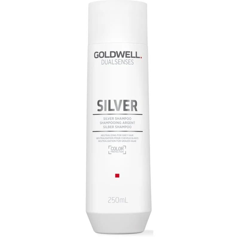 Dualsenses Silver Silver Shampoo Blont Silver
